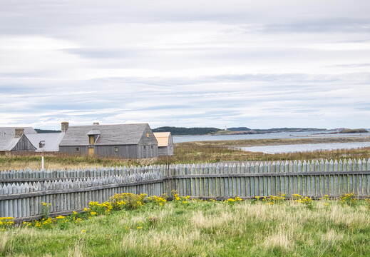 DSC 0288